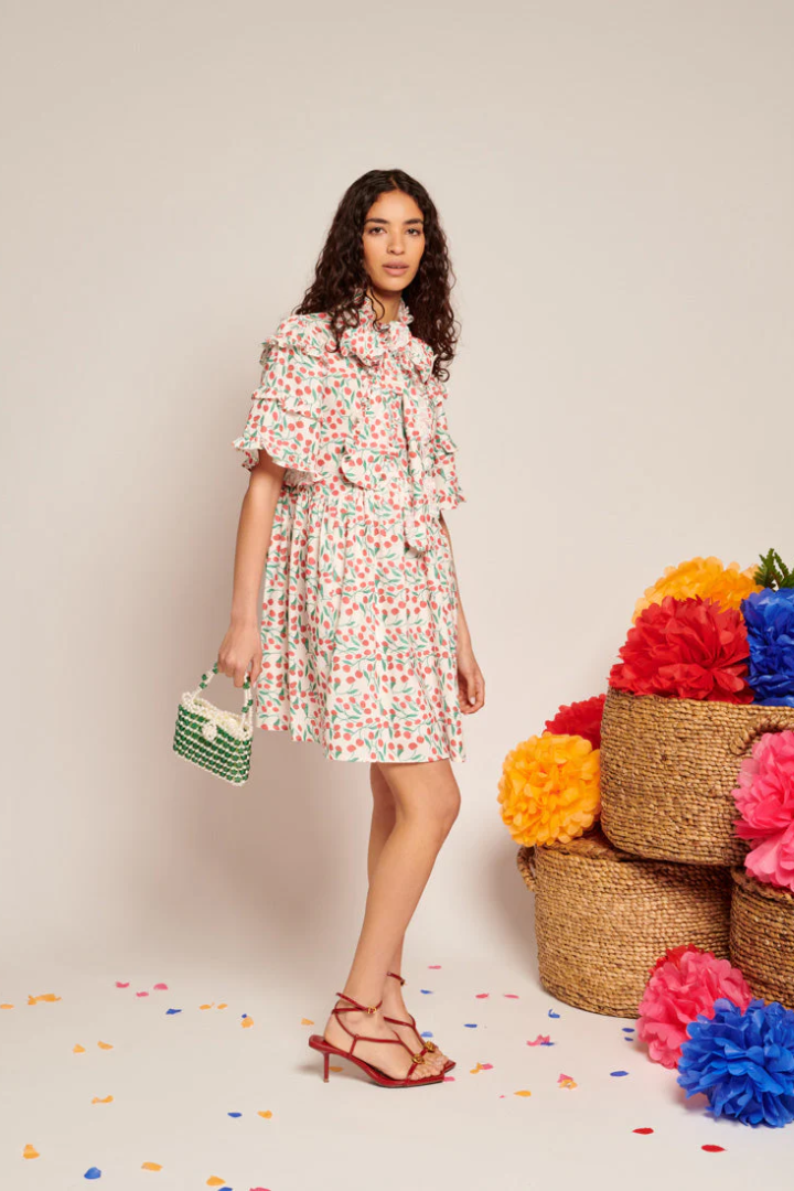 Cerise Mini Print Dress
